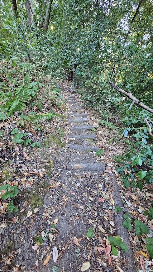 20245 Gist Road Los Gatos, CA 95033 - Photo 10 of 13 a view of a yard with a tree
