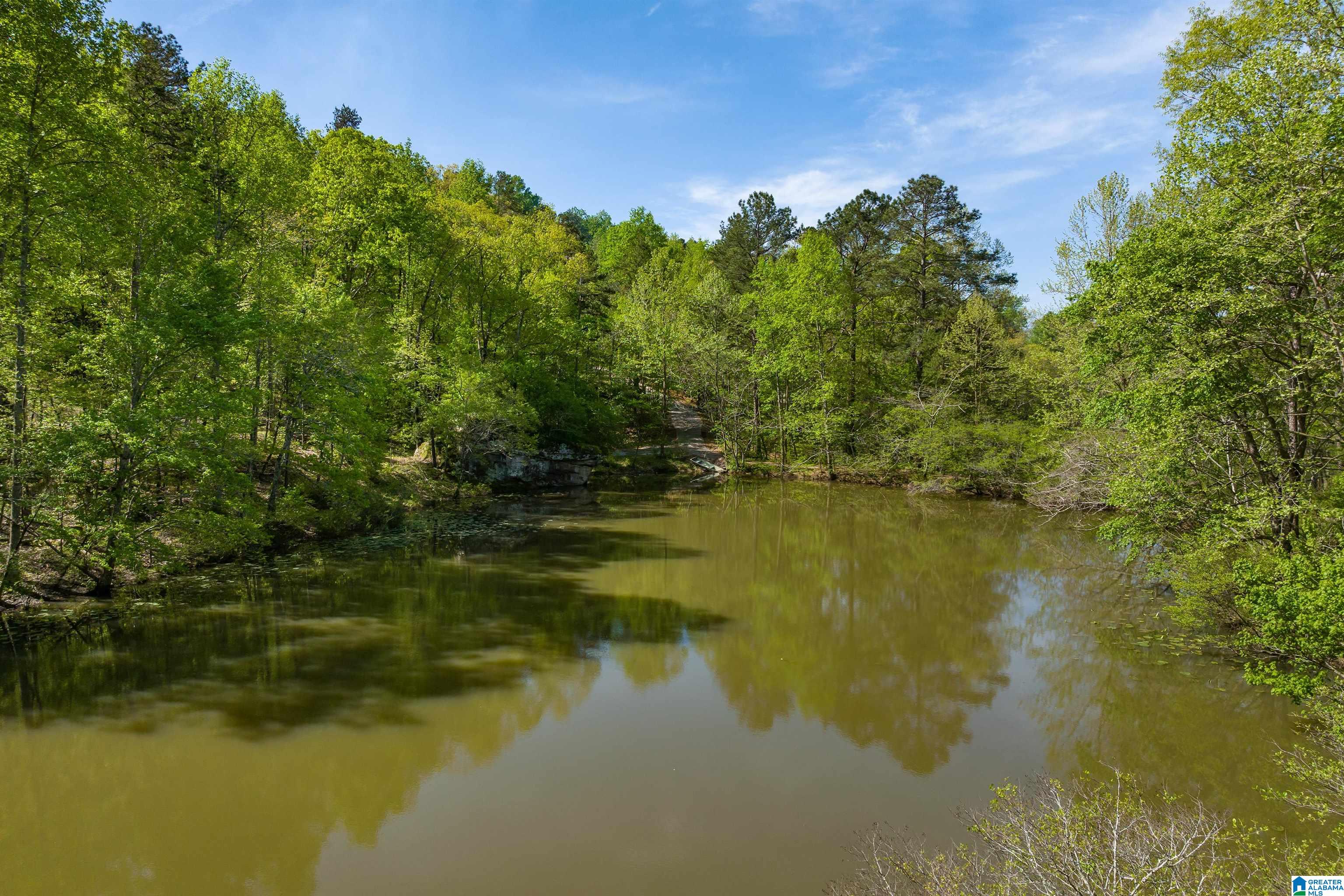 6881 Roper Road Trussville, AL 35173 - Photo 41 of 50