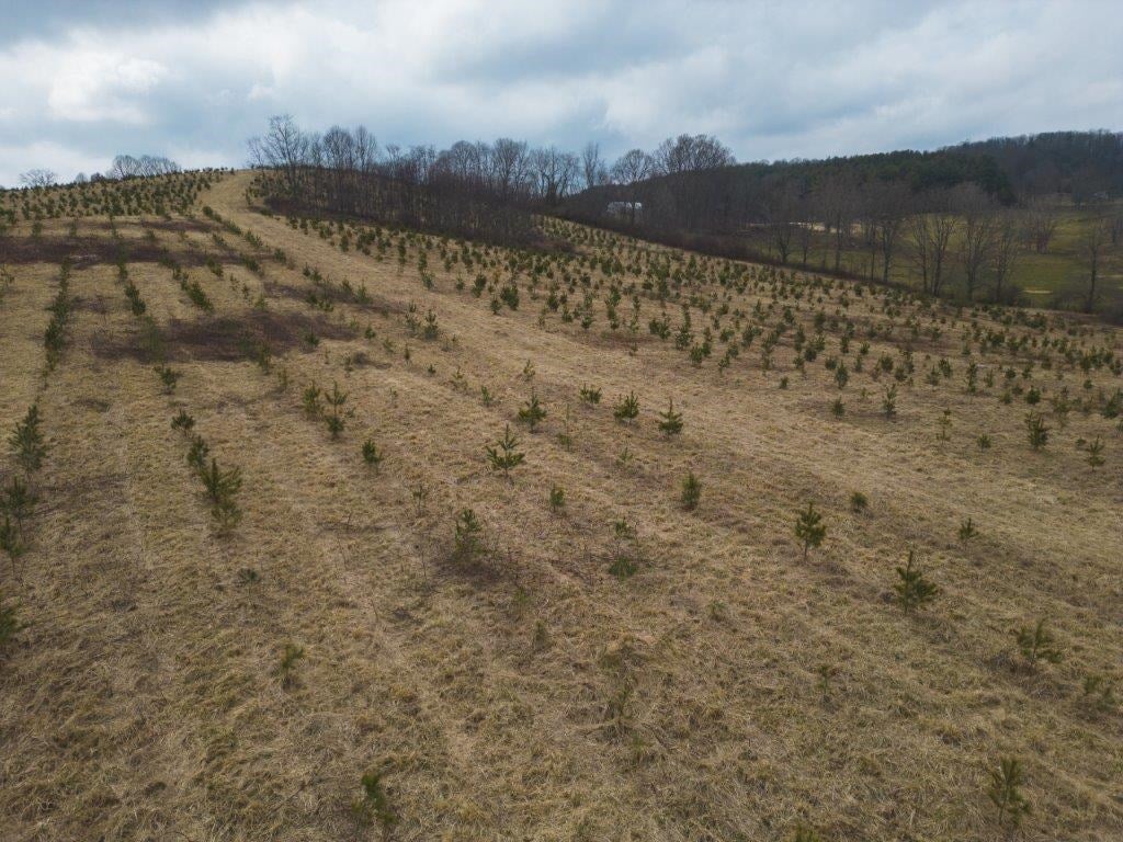 Tbd Long Mountain Road Southwest Willis, VA 24380 - Photo 18 of 66 Gallery Image 18