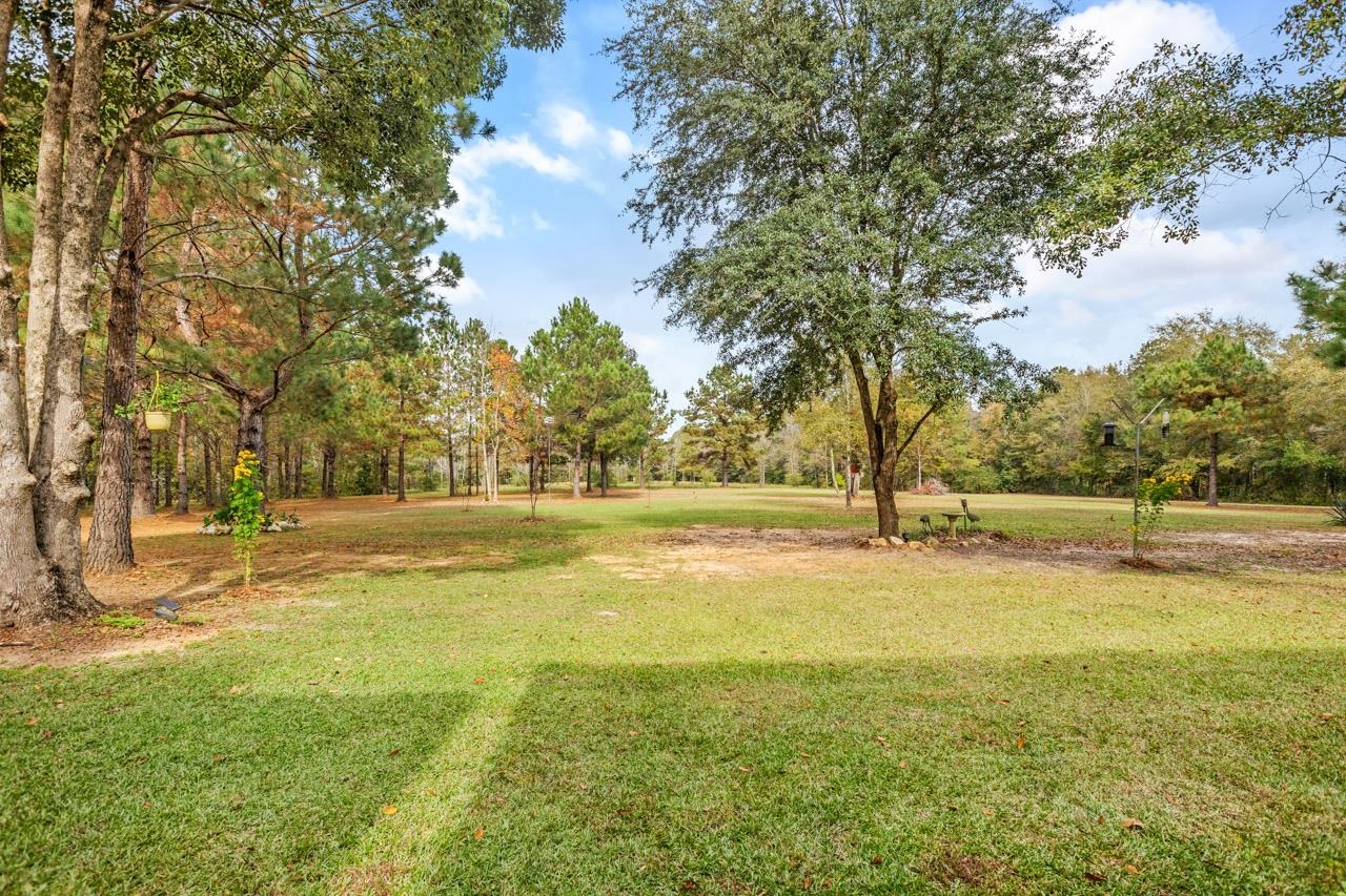 226 Sutton Monticello, FL 32344 - Photo 11 of 40