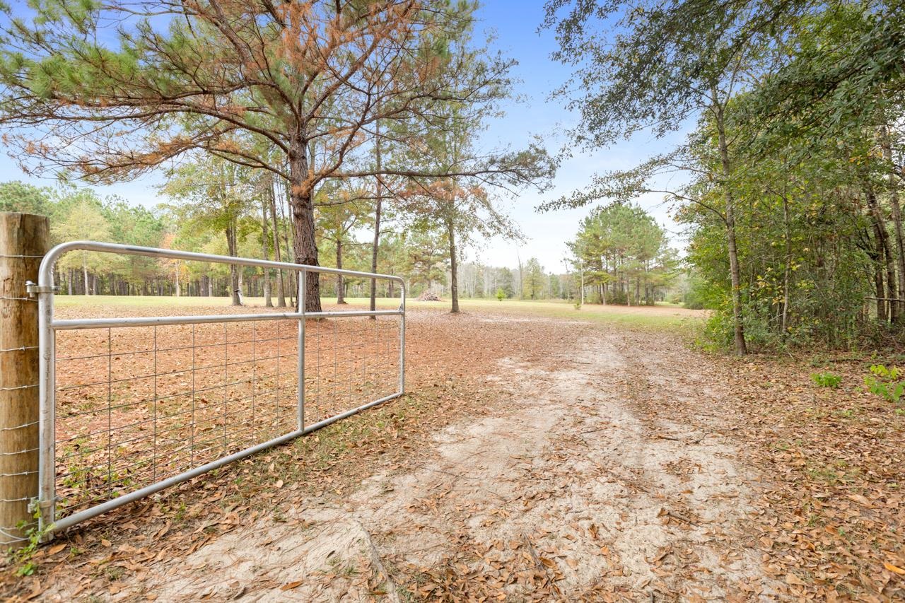 226 Sutton Monticello, FL 32344 - Photo 5 of 40