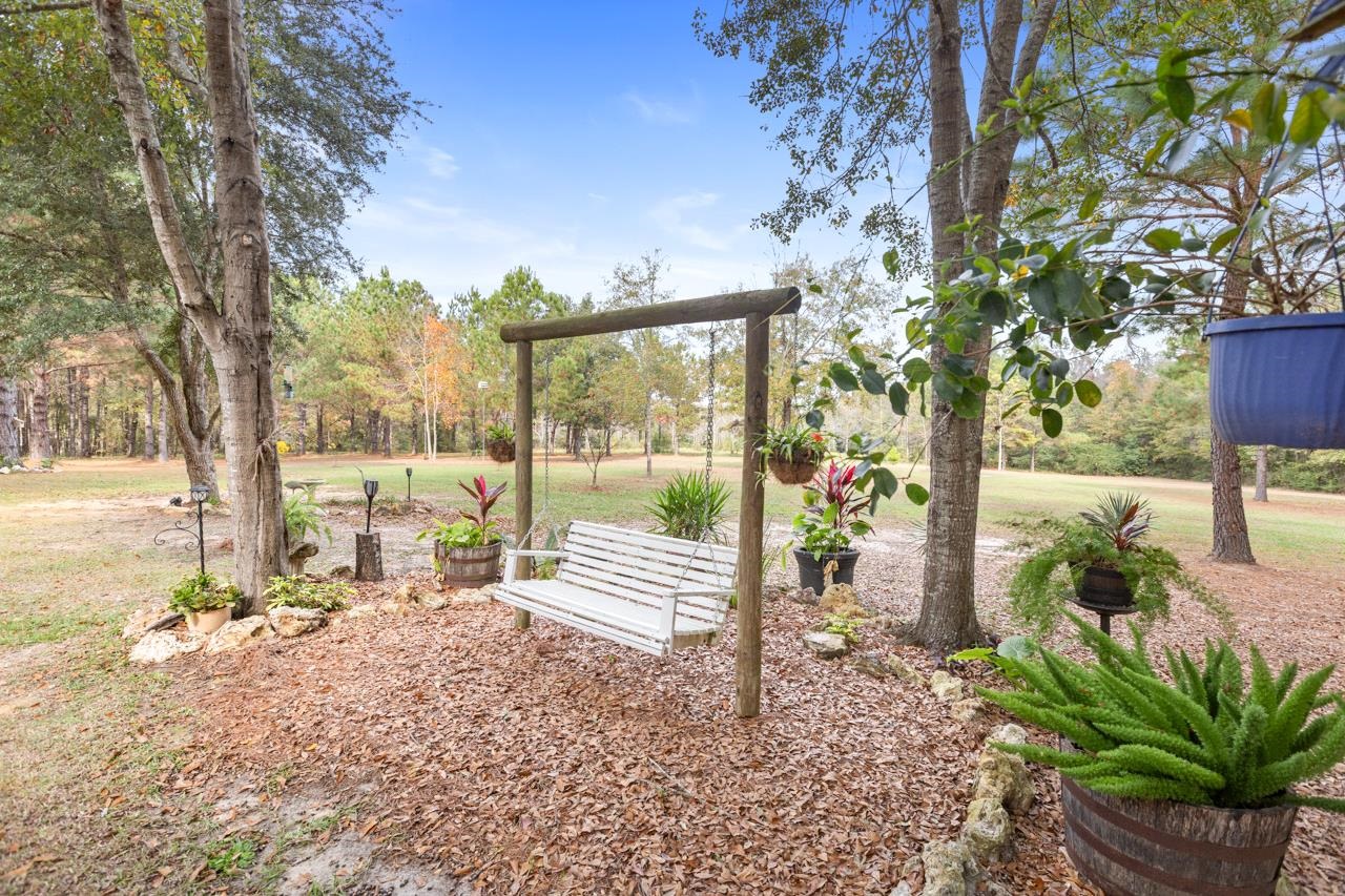 226 Sutton Monticello, FL 32344 - Photo 6 of 40