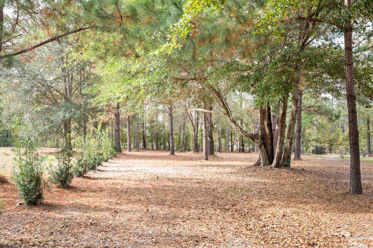 226 Sutton Monticello, FL 32344 - Photo 7 of 40