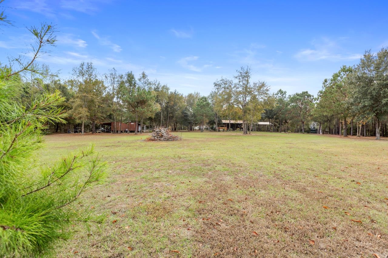 226 Sutton Monticello, FL 32344 - Photo 9 of 40