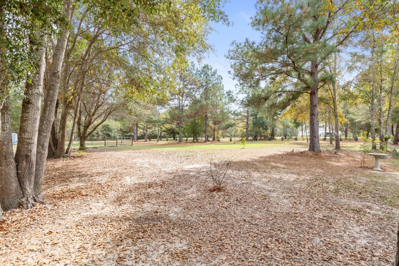 226 Sutton Monticello, FL 32344 - Photo 10 of 40