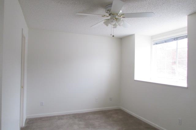 2464 Emerald Ridge Loop Tallahassee, FL 32303 - Photo 6 of 15 Gallery Image 6