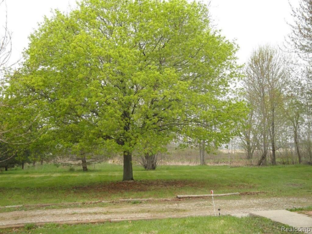 3338 Bullock Road Brown City, MI 48416 - Photo 2 of 14 Yard view