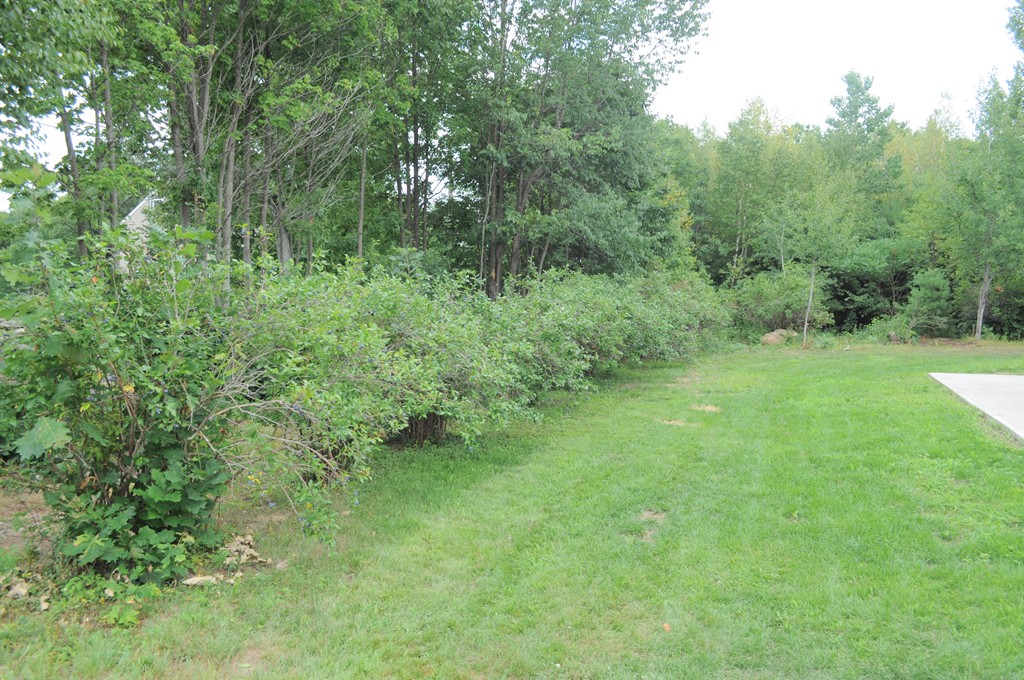 159 Gray Road Templeton, MA 01468 - Photo 24 of 26