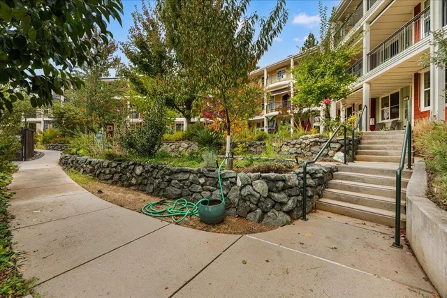 a view of a pathway with a yard