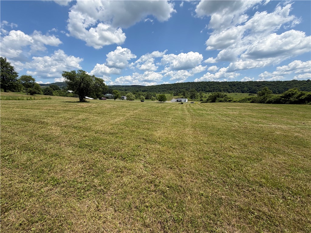 Middle Road Horseheads, NY 14845 - Photo 10 of 12
