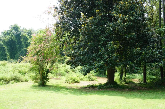 $199,900 | 1243 Lynchburg Avenue, Brookneal, VA 24528