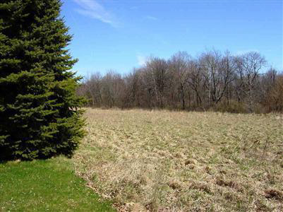 3341 South Kirk Road Vassar, MI 48768 - Photo 9 of 14 20281400-8.JPG