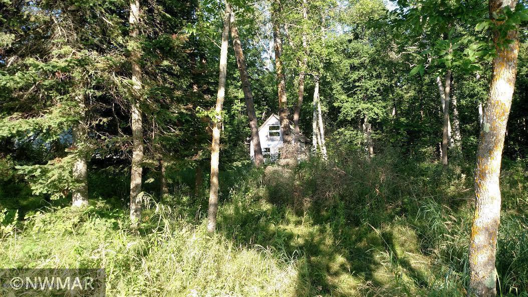 1378 Flag Island Angle Inlet, MN 56711 - Photo 1 of 1