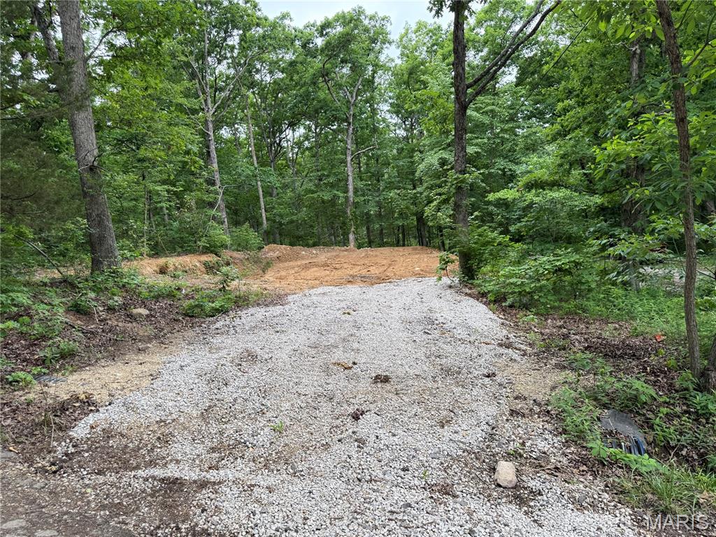 0 Lot 84 Mallard Road Middle Brook, MO 63656 - Photo 5 of 11