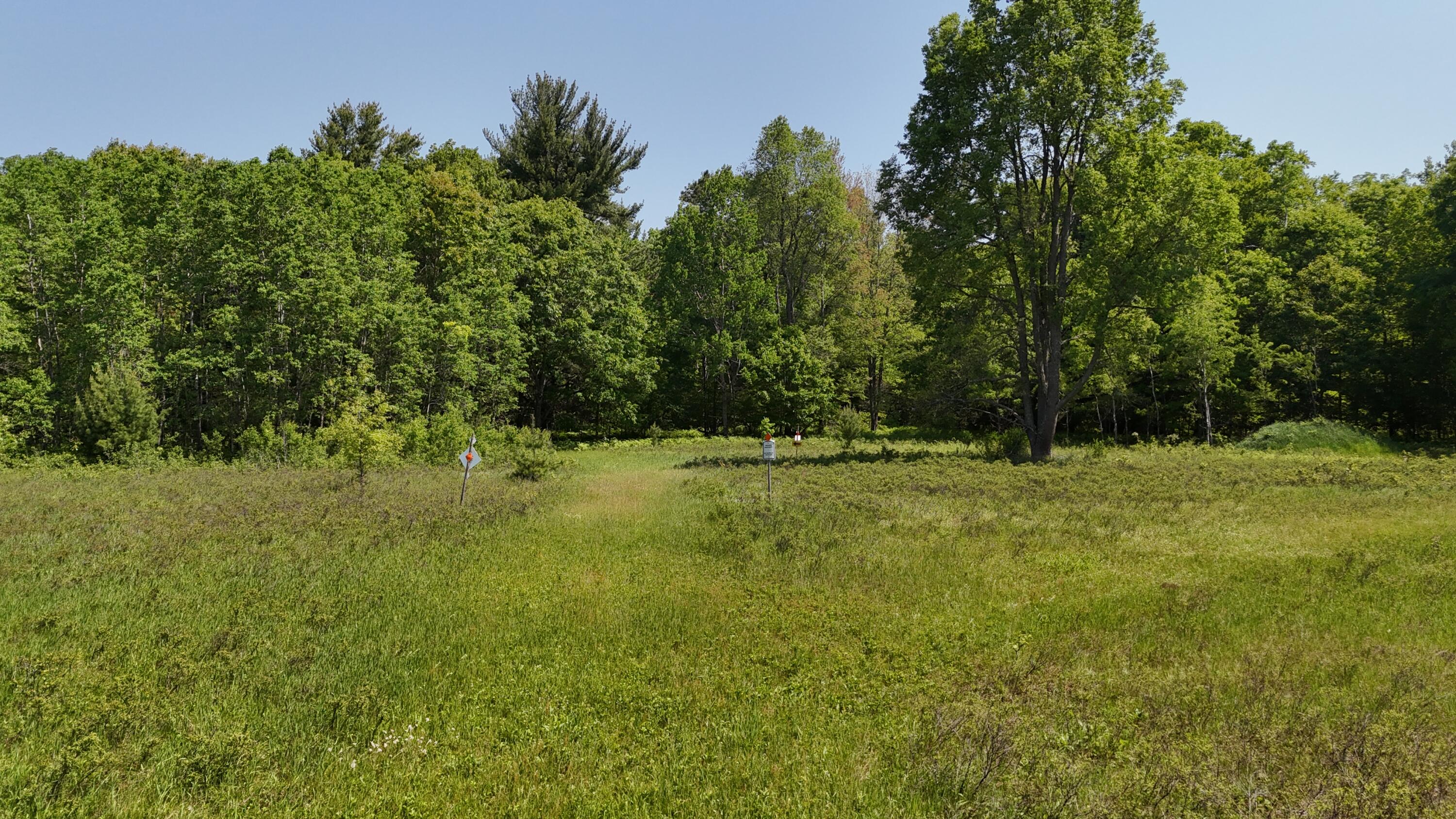 Dickson Road Brethren, MI 49619 - Photo 9 of 27 dji_fly_20250611_114838_0527_17496572073