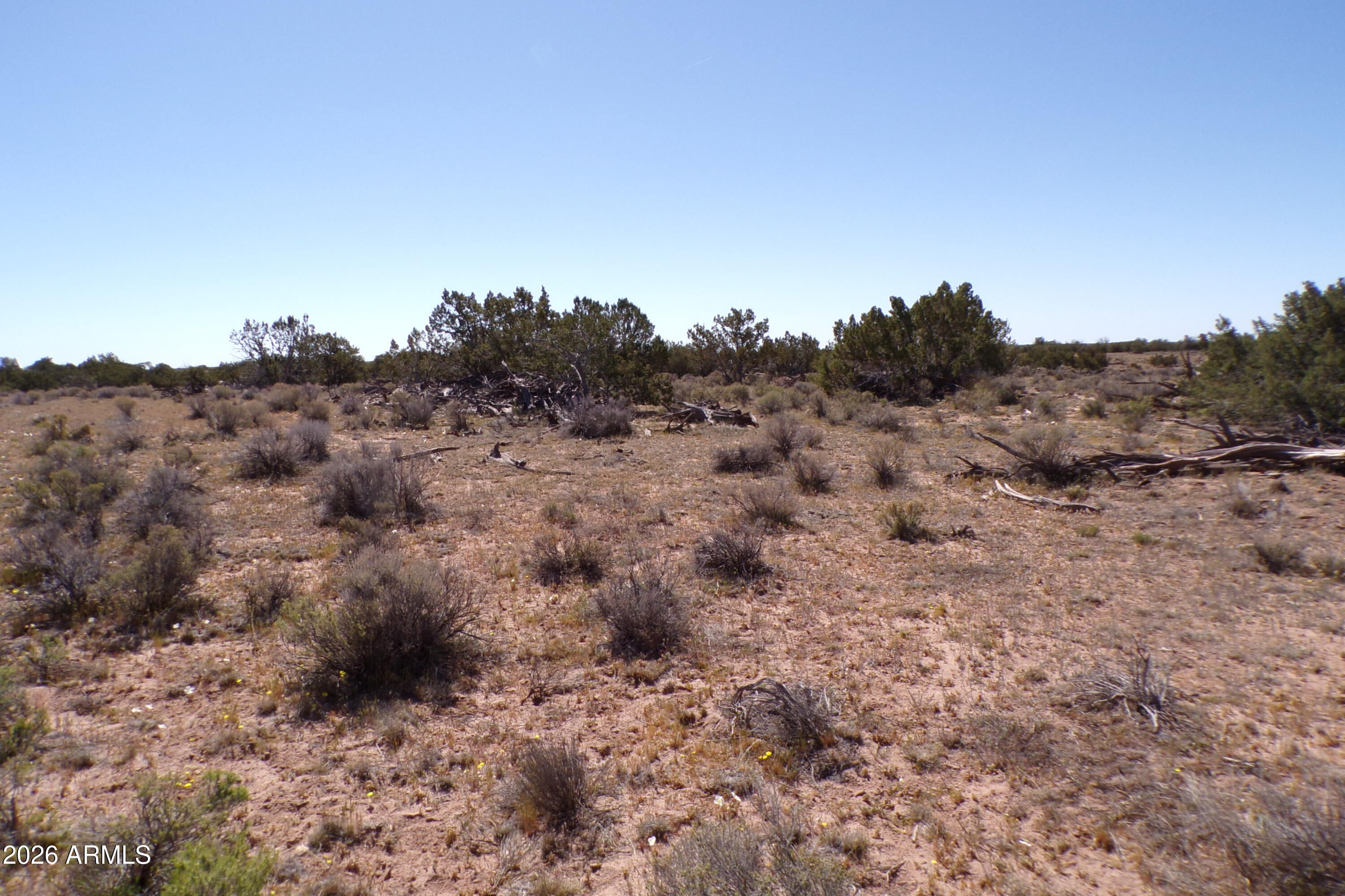 0 Ranch Road Sanders, AZ 86512 - Photo 21 of 42 a view of a dry field