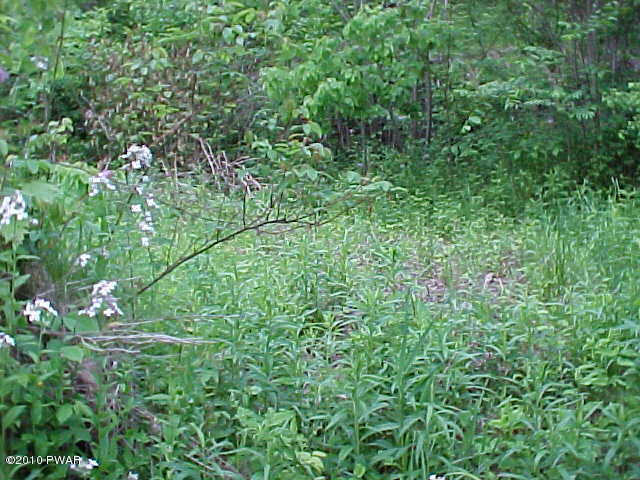 0 Riverside Drive Honesdale, PA 18431 - Photo 5 of 6