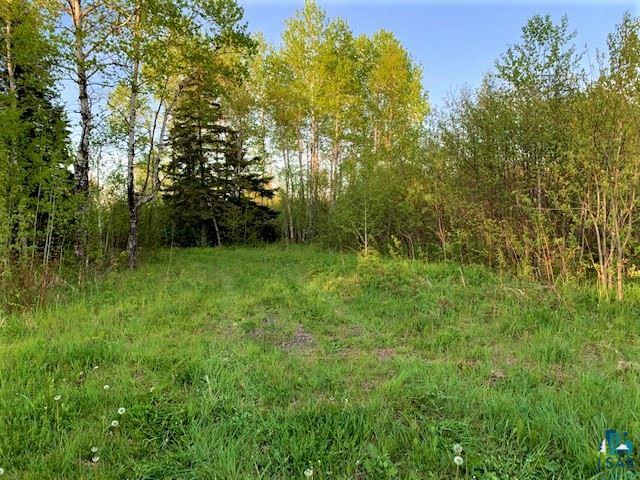 Xxx North River Loop Road Port Wing, WI 54865 - Photo 6 of 11