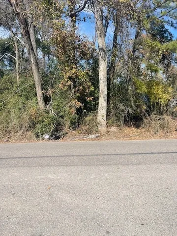 a view of a yard with plants