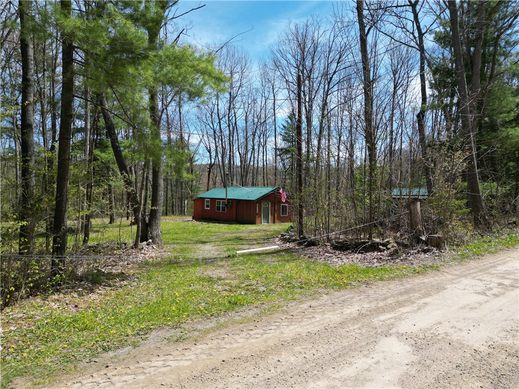 4408 Bush Hill Road Canisteo, NY 14823 - Photo 34 of 35