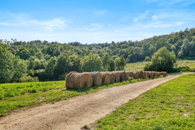 $559,000 | W10864 Santas Loop, Wonewoc, WI 53968