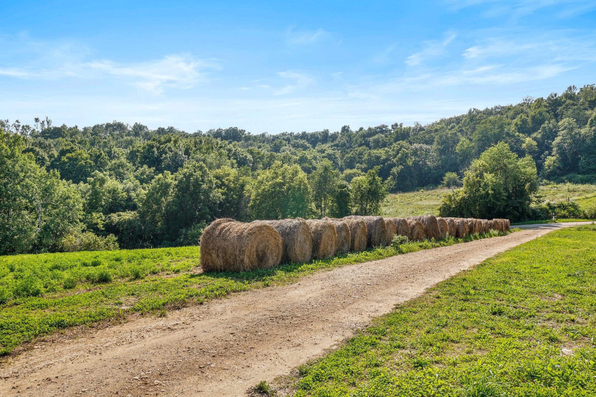W10864 Santas Loop Wonewoc, WI 53968 - Photo 28 of 28 20250819164431283787000000-o