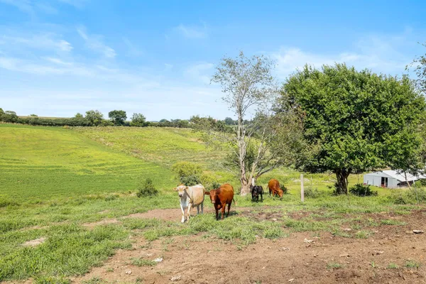 $559,000 | W10864 Santas Loop, Wonewoc, WI 53968