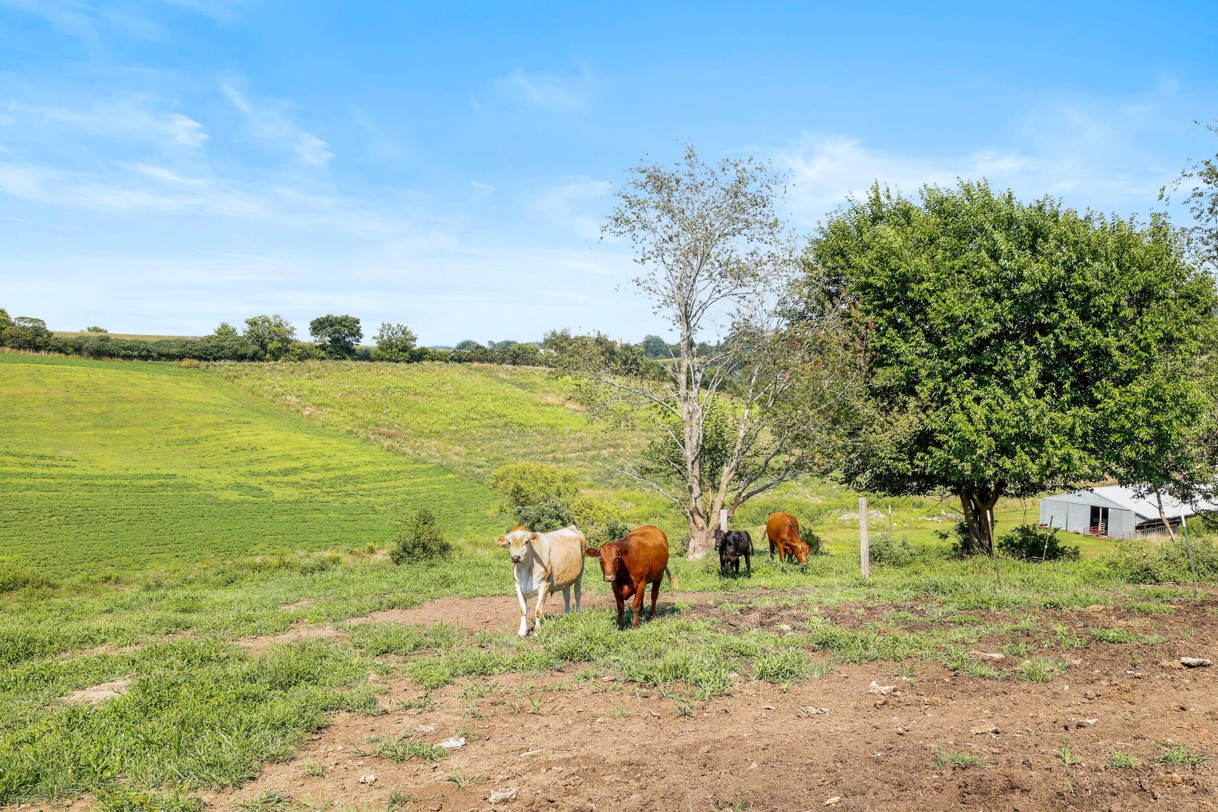W10864 Santas Loop Wonewoc, WI 53968 - Photo 5 of 28 20250819164150694661000000-o