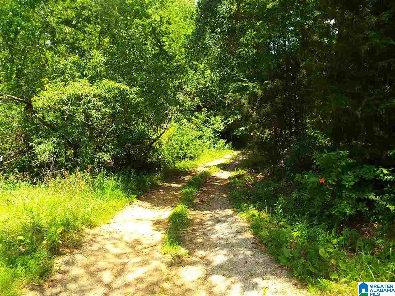 122 Boatwright Trail Oneonta, AL 35121 - Photo 7 of 8
