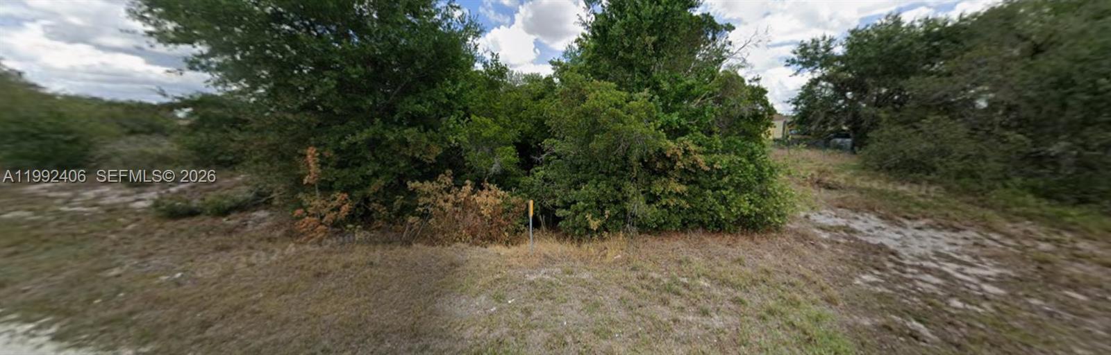 240 North Madera Road Avon Park, FL 33825 - Photo 4 of 5 a view of a forest with trees in the background