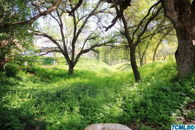 41935 South Fork Drive Three Rivers, CA 93271 - Photo 21 of 21 Additional Photo