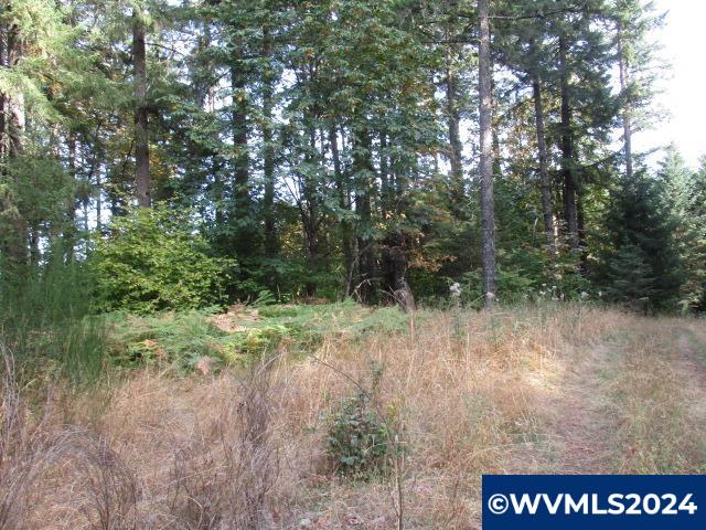 0 Northwest Crane (3) Road Yamhill, OR 97148 - Photo 3 of 14