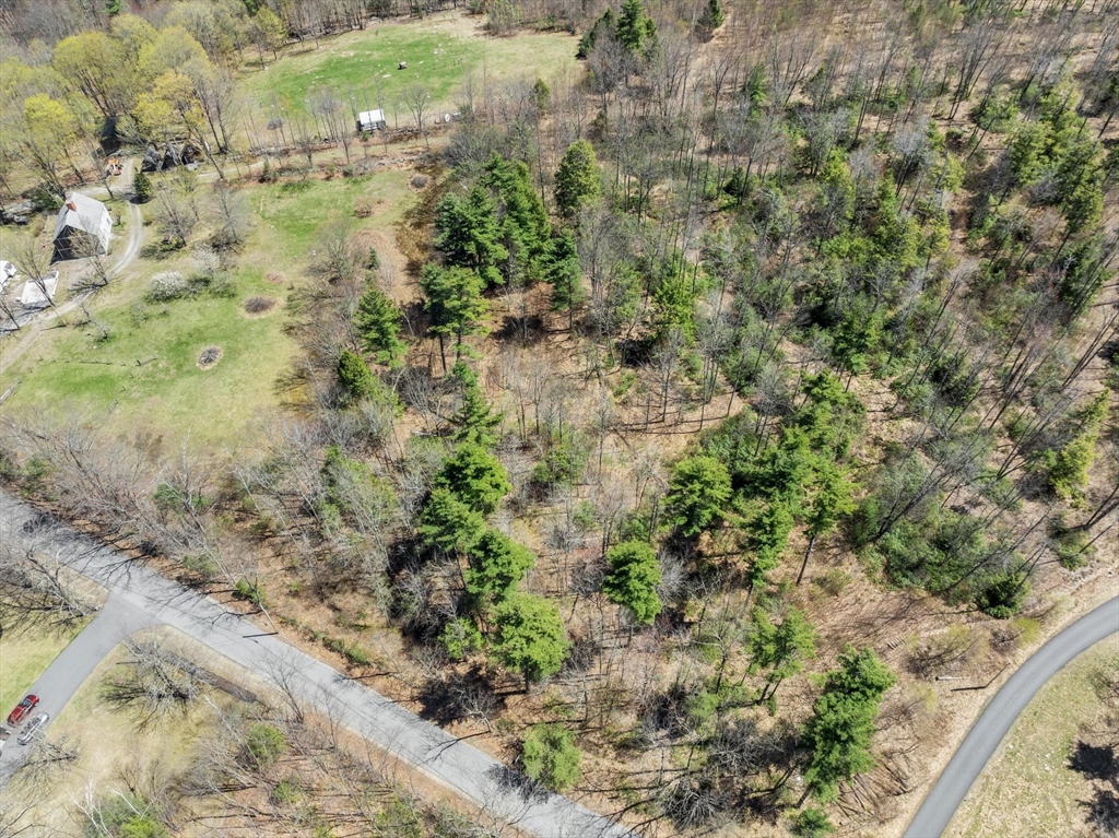 531 Mason Road Ashby, MA 01431 - Photo 7 of 10 a view of a forest with a building