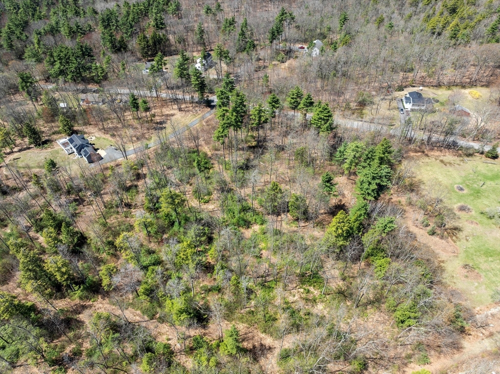 531 Mason Road Ashby, MA 01431 - Photo 10 of 10 a view of a yard with plants and tree