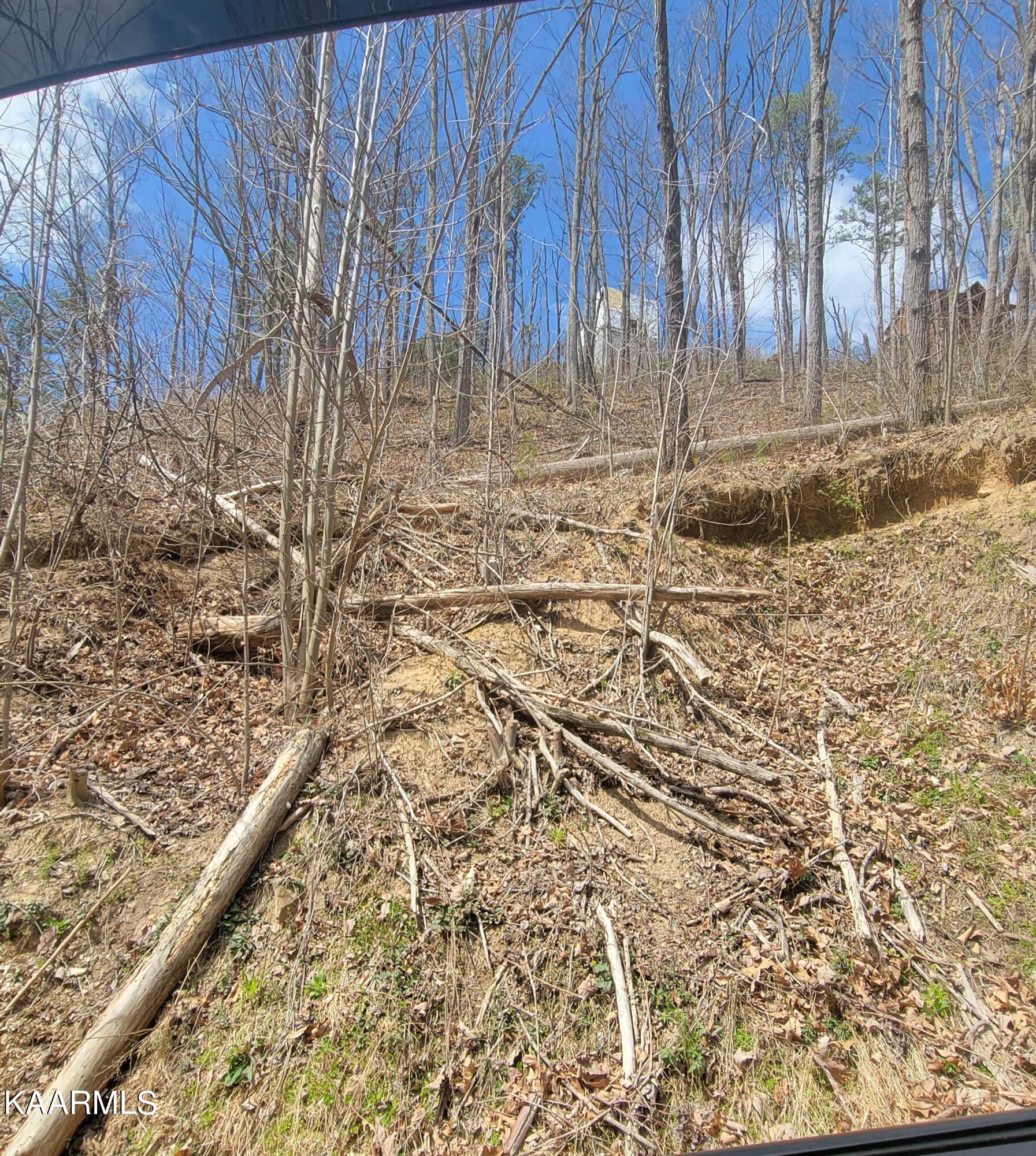 Walker Trail Sevierville, TN 37876 - Photo 1 of 3 20220330_131905