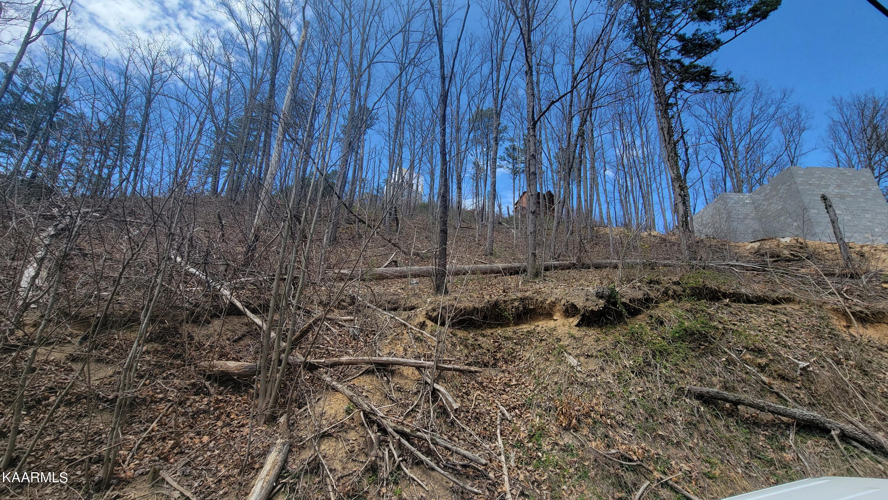Walker Trail Sevierville, TN 37876 - Photo 2 of 3 20220330_132409