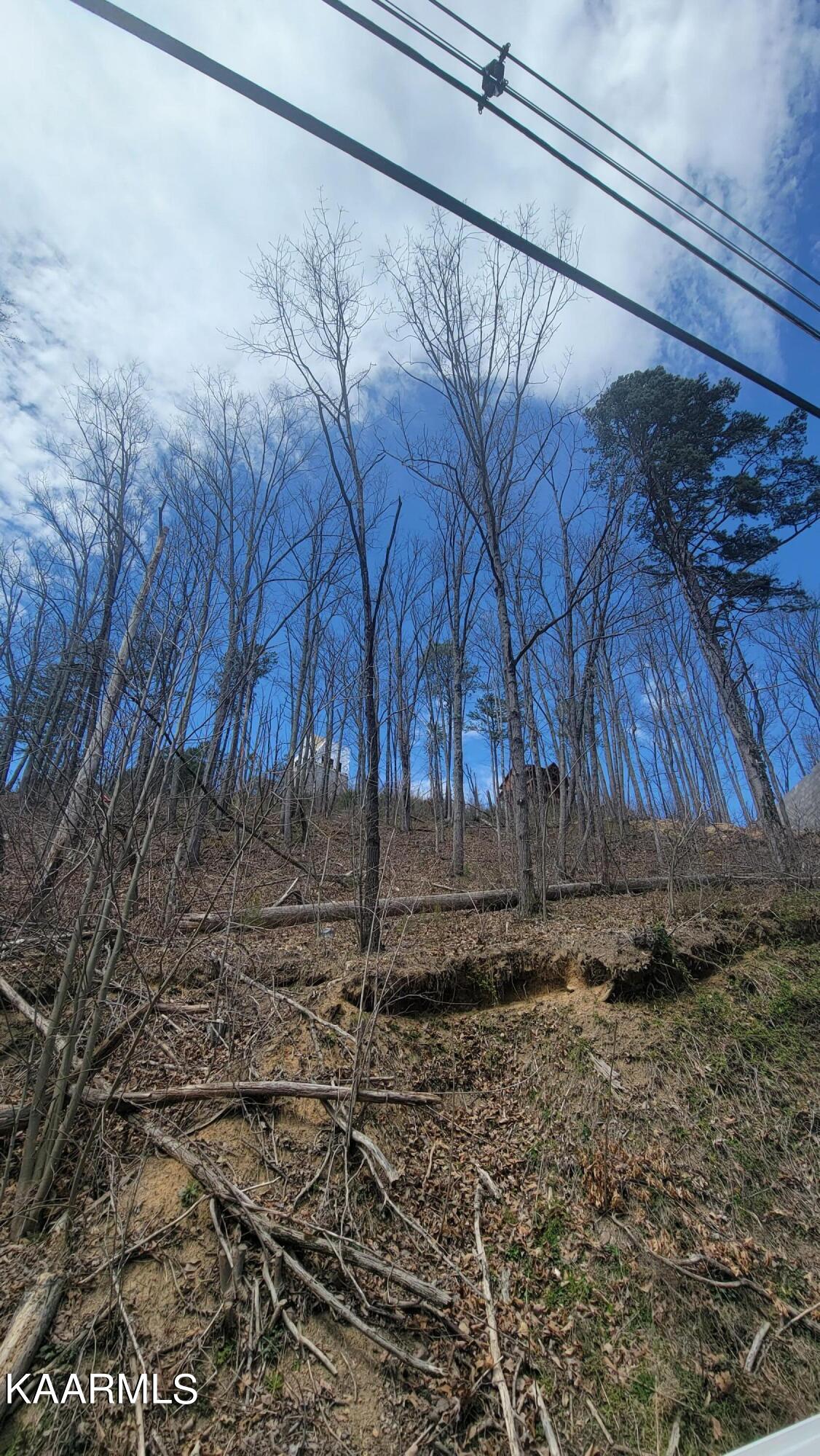 Walker Trail Sevierville, TN 37876 - Photo 3 of 3 20220330_132359