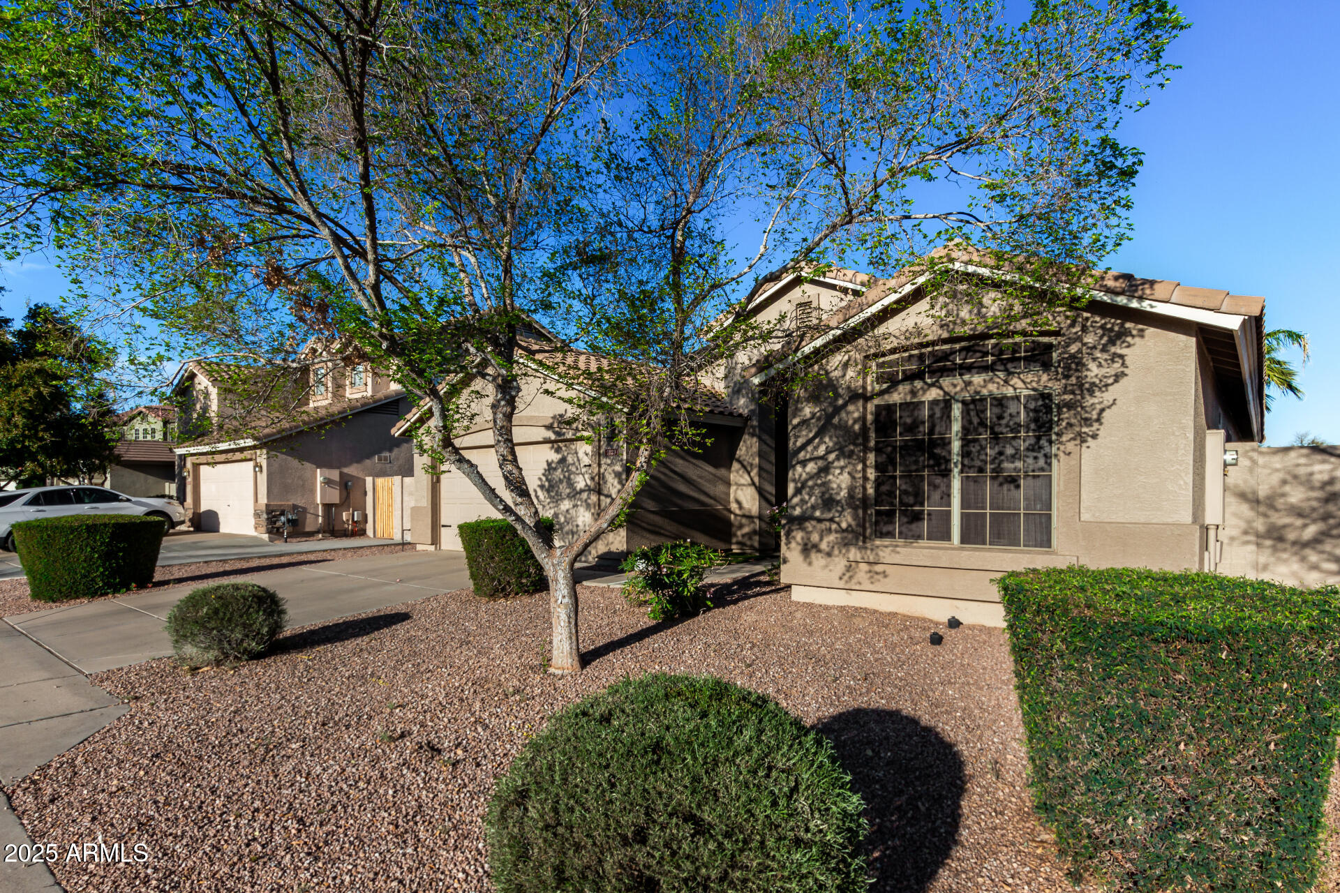 2123 South Bristol Mesa, AZ 85209 - Photo 8 of 45 08 - Bristol