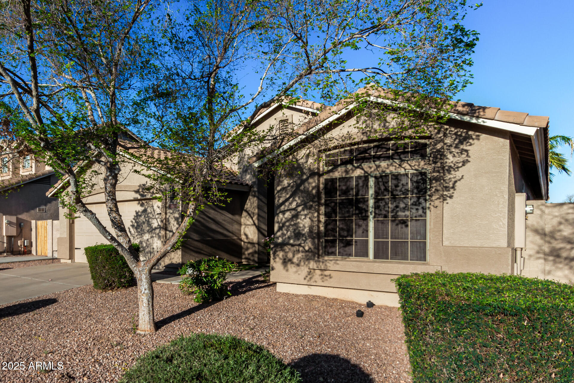 2123 South Bristol Mesa, AZ 85209 - Photo 9 of 45 09 - Bristol