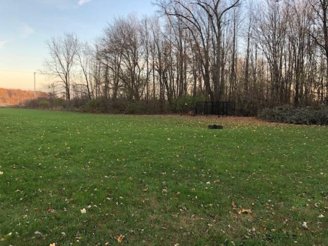 978 Adolph Road Union City, MI 49094 - Photo 8 of 40 987 1