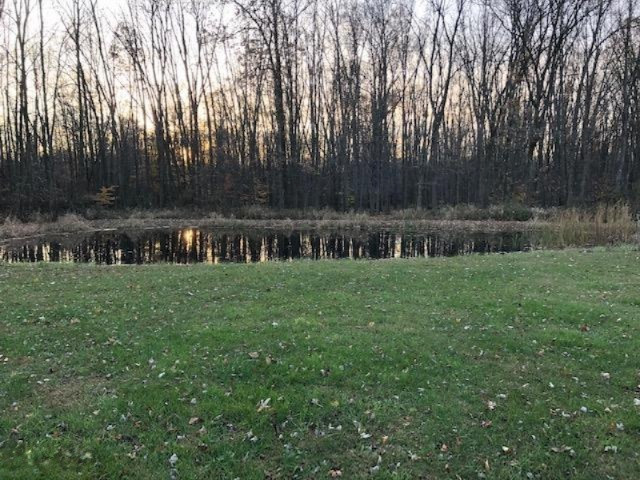 978 Adolph Road Union City, MI 49094 - Photo 9 of 40 987 2