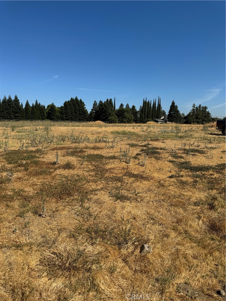 4 Myrtle Avenue Merced, CA 95340 - Photo 6 of 6