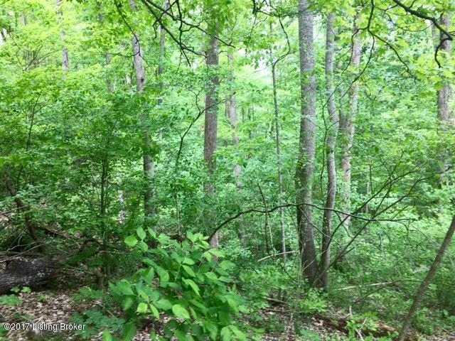 0 Mark Ridge Road Garfield, KY 40140 - Photo 6 of 43 6