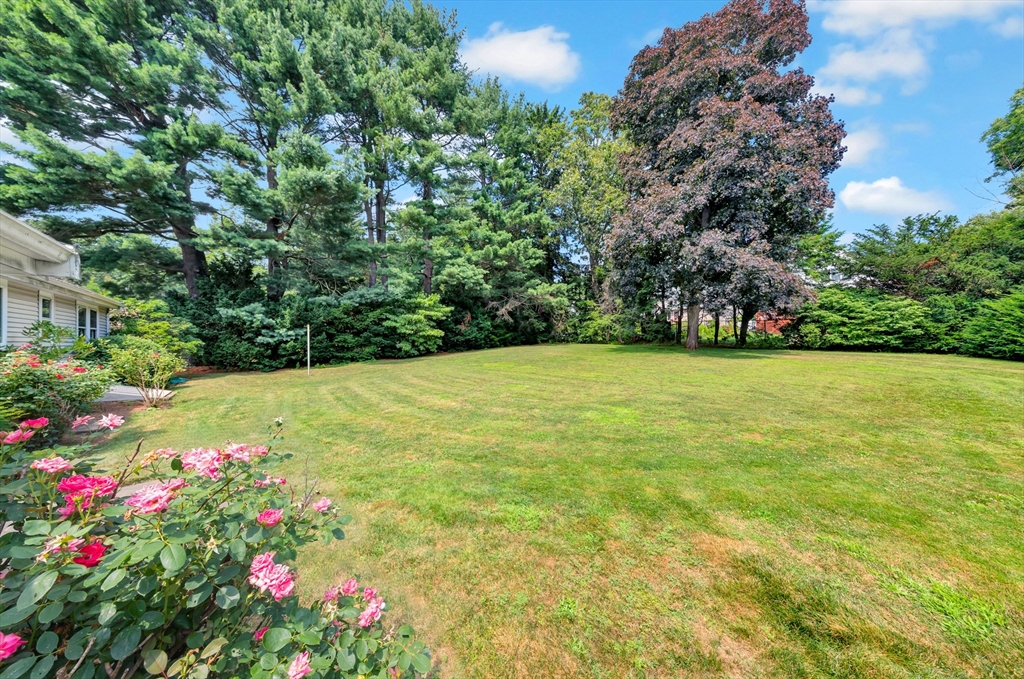 21 Gleason Road Lexington, MA 02420 - Photo 8 of 42 a view of a garden with a tree