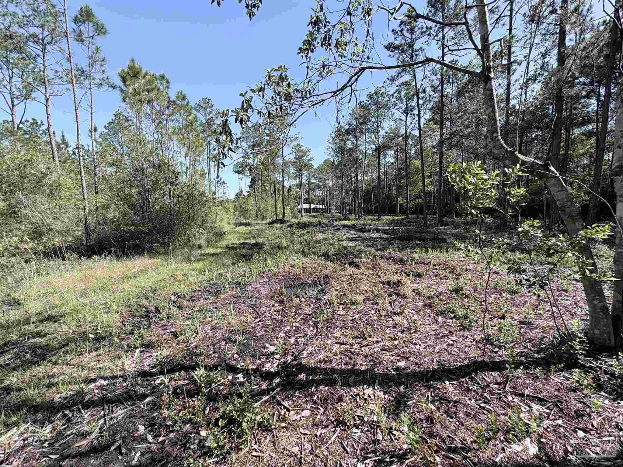 Del Monte Street Milton, FL 32583 - Photo 14 of 18