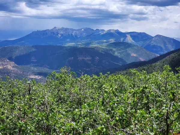 $395,000 | Tbd Canyon Rim Loop, Placerville, CO 81430