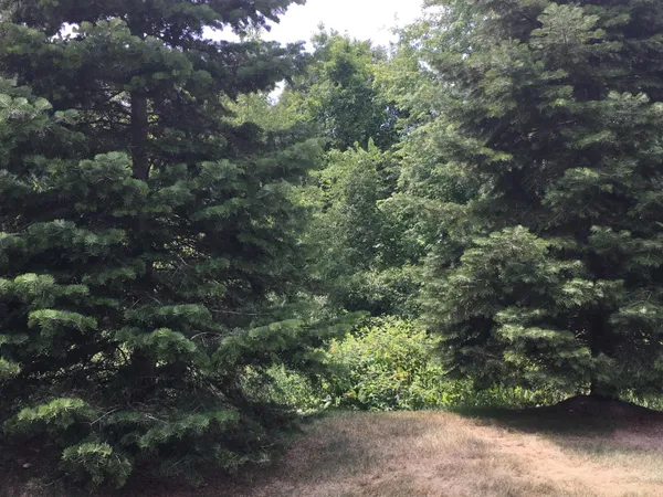 $260,000 | 20209 Chesapeake Circle, Walled Lake, MI 48390