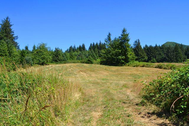 53 Nehalem Or 97131 Nehalem, OR 97131 - Photo 11 of 15 Prop9
