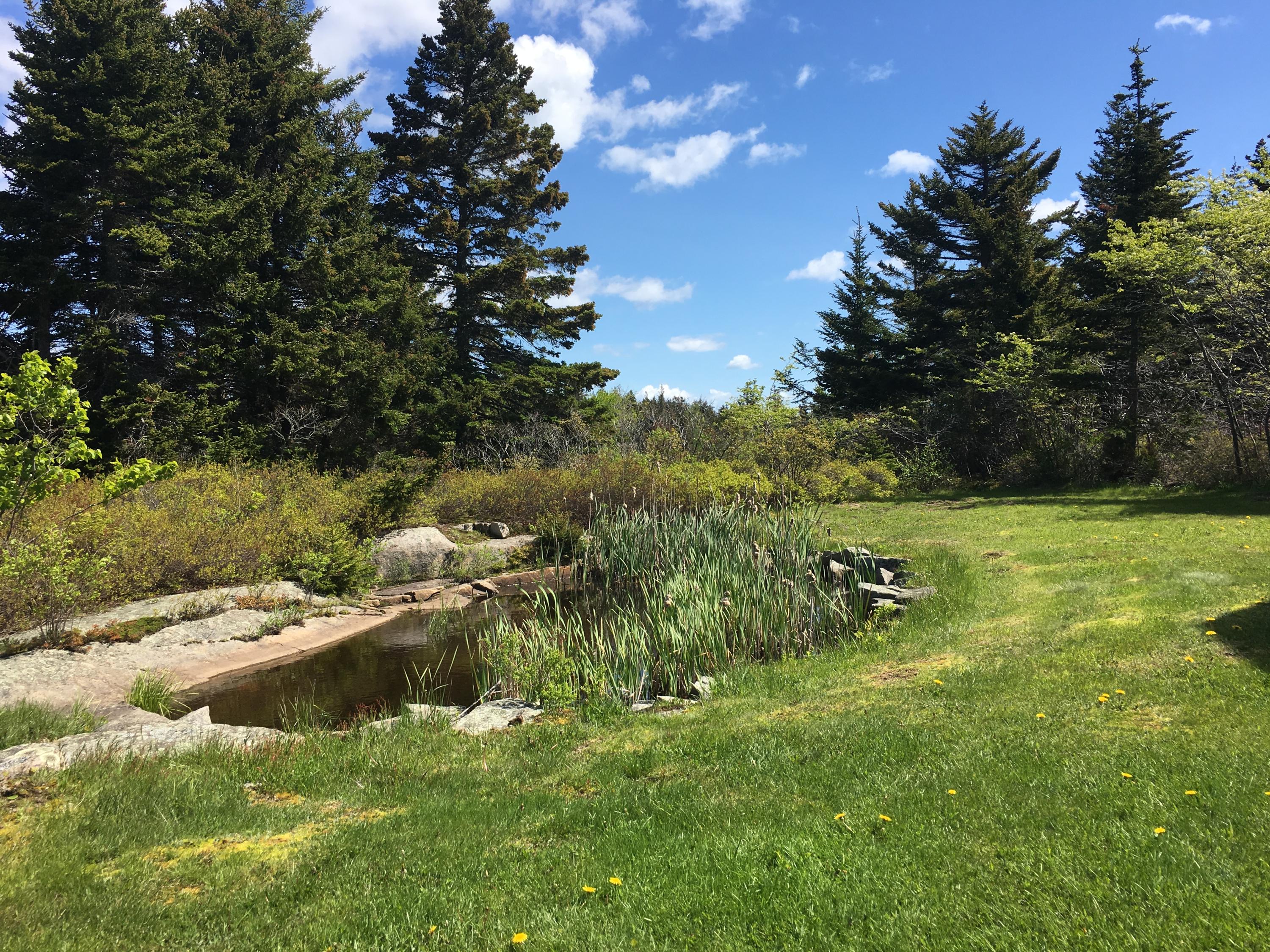 80 York Road Vinalhaven, ME 04863 - Photo 27 of 33 IMG_5191