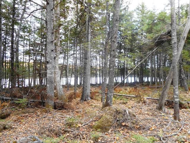 Tbd Pug Lakes Road Lakeville, ME 04487 - Photo 11 of 11 Photo